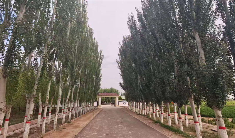 微信图片_20260904094923_339_23.jpg
